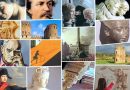 Roma. Musei e siti archeologici gratuiti il 4 maggio