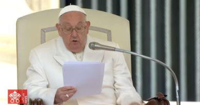 Il Papa: Il cristiano ha speranza non per merito proprio. Se crede nel futuro è perché Cristo è morto e risorto e ci ha donato il suo Spirito