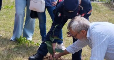 Una magnolia in ricordo di Giovanni Falcone