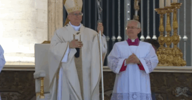 Papa Leone XIV al Regina Caeli : La Vergine Maria benedica le famiglie e le sostenga nelle loro difficoltà: penso specialmente a quelle che soffrono a causa della guerra