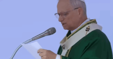 Il Papa al Giubileo dei Giovani: siamo fatti per un’esistenza che si rigenera costantemente nel dono, nell’amore Il Papa al Giubileo dei Giovani: siamo fatti per un’esistenza che si rigenera costantemente nel dono, nell’amore