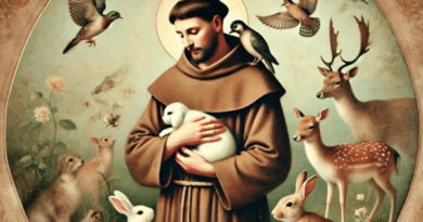 Roma. “Con San Francesco sui passi della Speranza” Roma. “Con San Francesco sui passi della Speranza”